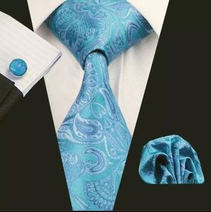 Men Neckties Sets